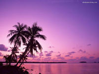 tanqiang's profile picture. 