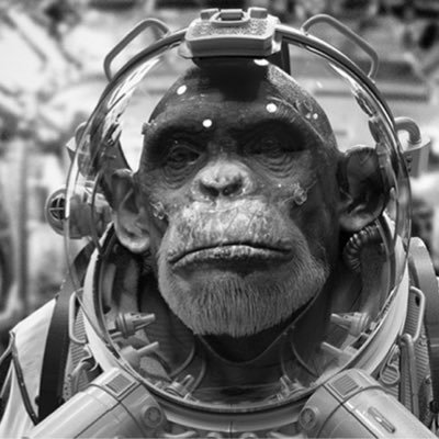 Avatar photo is a NASA Steely-eyed Missile Monkey. Someday I hope to have such rugged good looks.
*don't get too excited, BDH just means Basic Decent Human.