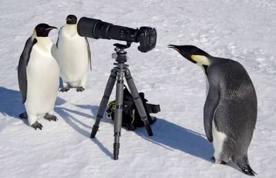 penpen464's profile picture. 