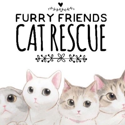 Based in Sheffield Furry Friends is cat Rescue organisation. It provides loving care to cats that need re-homing. Please adopt don't shop 💕