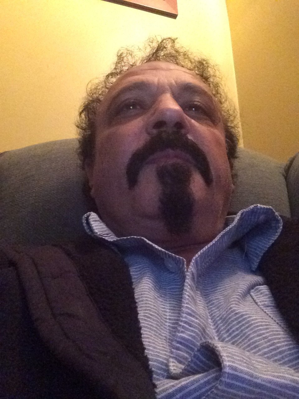 KassAmmouri's profile picture. I sell Gazebo