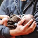 Jeff Armistead - @JeffArmistead - Twitter