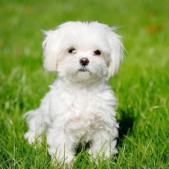 mile_styles723's profile picture. 小髙です こう書いてまゆと読む可愛いでしょ名前は。 I♥SOFTBALL・#17