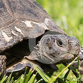 VELOCITYmgBOOKS's profile picture. 