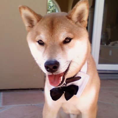 ggoODshItttTT's profile picture. ((Follow @isfuckingshame if you don't mind))