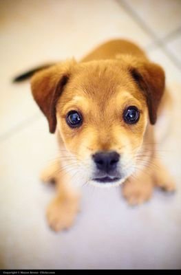 TriPhan14's profile picture. Live a fantastic life!