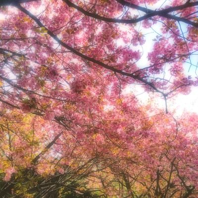 poibest13's profile picture. 