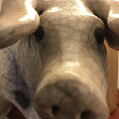 Noelly_noelly's profile picture. Family, fun, beer and sun