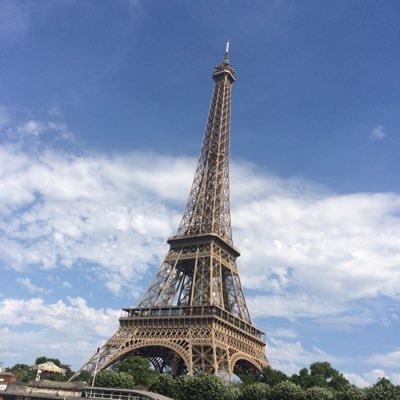 LaSof11's profile picture. 