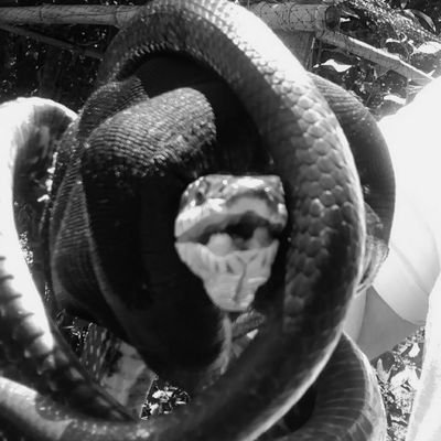 EddieEverling's profile picture. happily married father of four