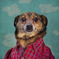 KrisPro (@krispro18) 's Twitter Profile
