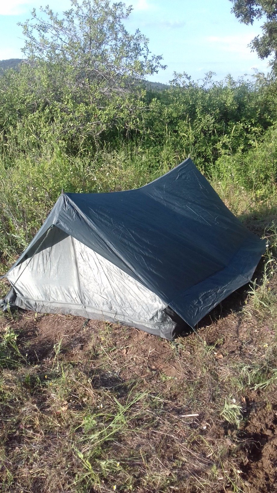 Argestos's profile picture. 