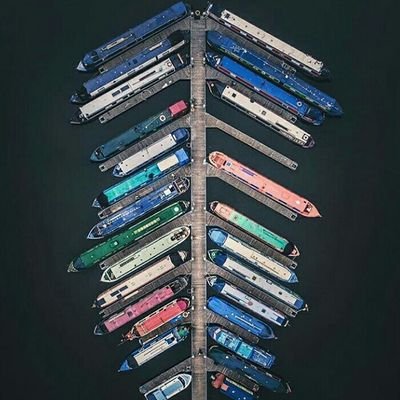 afk1905's profile picture. HODLER