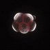 Manzanares lab (@migmanzanares) Twitter profile photo
