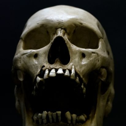 the___pain's profile picture. something is wrong with me