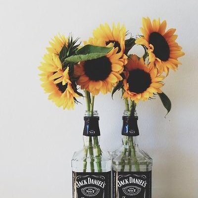 Newsouloldsole's profile picture. idk.