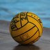Waterpolo/Swim (@bphsaquatics) Twitter profile photo Waterpolo/Swim (@bphsaquatics) Twitter profile photo