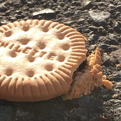 youngersister05's profile picture. 家族専用アカウントです/20↑