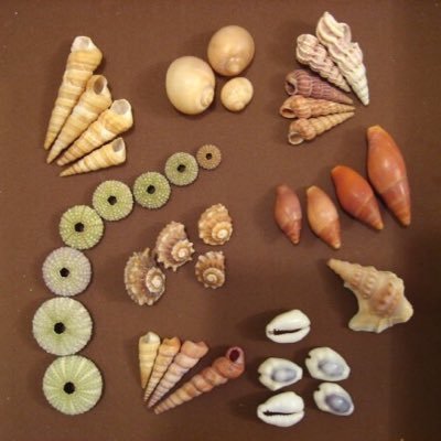 OlgaTadema's profile picture. 