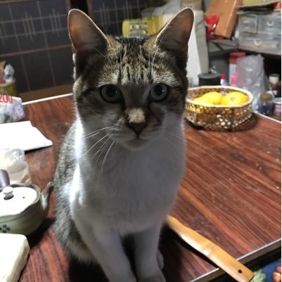 EijkFxPSED2XroE's profile picture. 