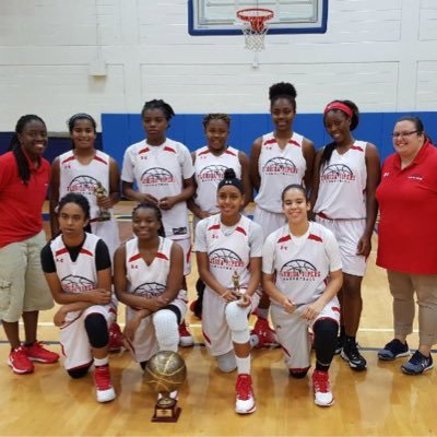FL_LadyVipers's profile picture. The newly created girls basketball division of the 3 Time AAU National Champions, UAA Champ & UA sponsored Florida Vipers. Vipers gang 🙏🏽🐍🔥🏀📚.