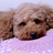 huacafe's profile image