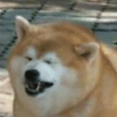 DrimboTangus's profile picture. help