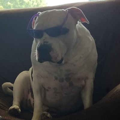 Scumbag_Ryan Profile Picture