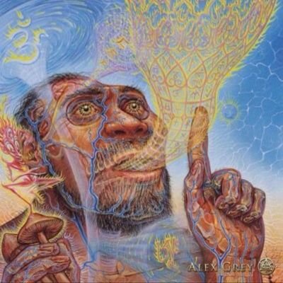 trippingape's profile picture. The Stoned Ape Hypothesis expounds that our primate ancestors evolved into Homo sapiens due to the ingestion of psilocybin-containing fungi