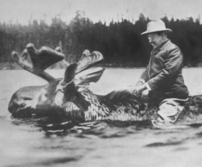 MostHumbleEver's profile picture. I'm so much more humble than you.