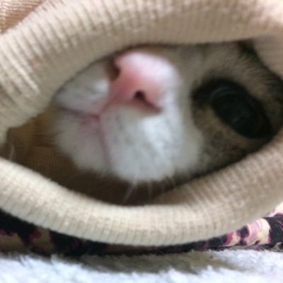 BDrH8ABXpmPWowG's profile picture. 