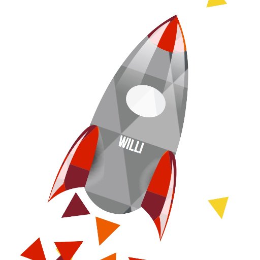 Start-up-Willi Profile