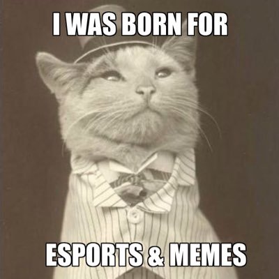 LittleAsshole69's profile picture. eSportok & MEMES