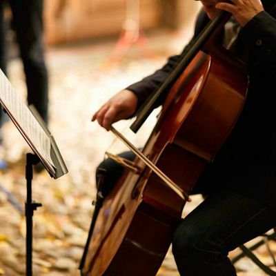 peterkabitzsch's profile picture. Erwachsenenbildung, 
Volkshochschule, Ernährung, 
Craftbeer