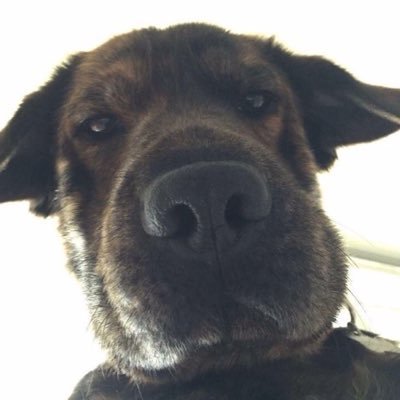 mintspp's profile picture. ความรักก็คงเหมือนการเดินทางที่เราไม่รู้อะไรเลย , เส้นทางบางครั้งไม่ได้สวยหรูอย่างที่เราคาดไว้ , แต่สิ่งที่เราทำได้คือการเดินต่อไป