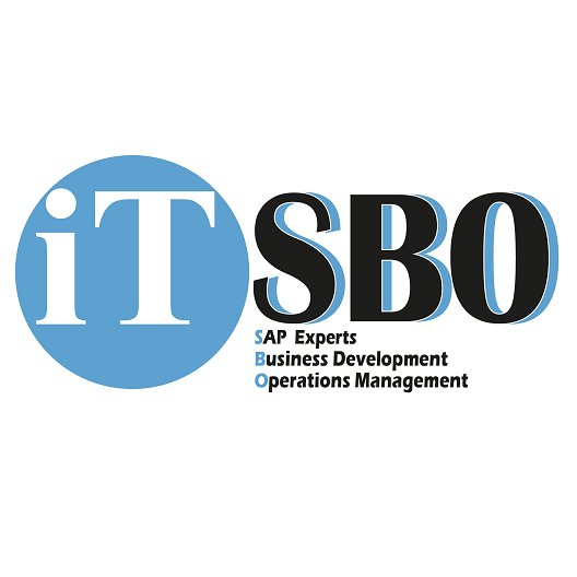 IT-SBO provide Full Implementation Cycle of SAP Business One and its Specific Industries.
24/7 Support Services.
Business Development Consulting.
