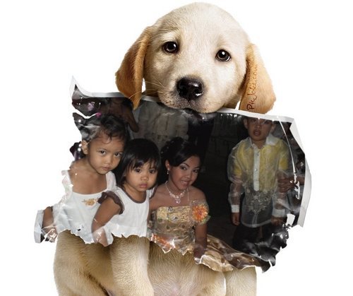 mxSboxHie027's profile picture. 