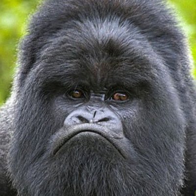 Keith68909028's profile picture. 