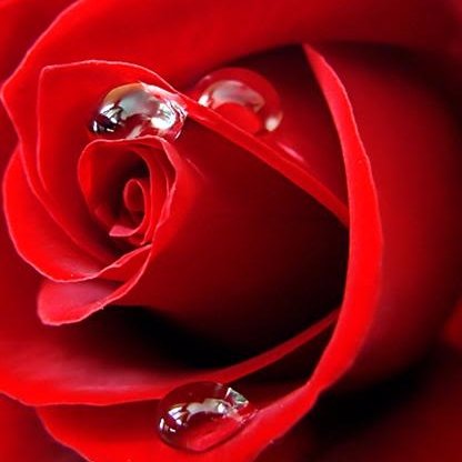 BethDT1's profile picture. 