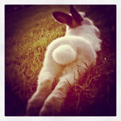 moojujhunaja31's profile picture. 