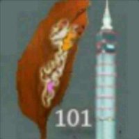 台北101 (@2017tb101) 's Twitter Profile Photo