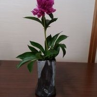りんたん (@ysoeltrnkagx2s6) 's Twitter Profile