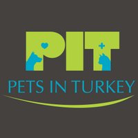 Pets In Turkey(@petsinturkey) 's Twitter Profile Photo