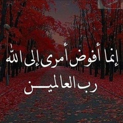 الخـيبةإنـك.تبكـيَ.فِ كـل مرةعـلىَ نـفس.الوجـّع.. (صارحوني💔https://t.co/bJ4aCX8wrw