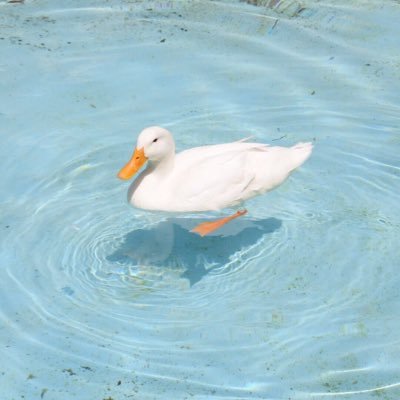 ありさんのプロフィール画像