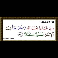 فهد (@ffll1982) 's Twitter Profile