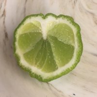 🍋🍋🍋 (@lemoona19444) 's Twitter Profile