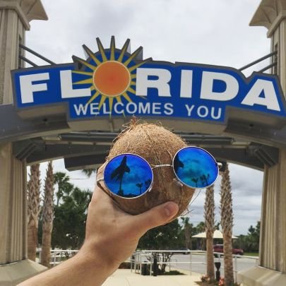 larry_coconut's profile picture. 🍁 
Just a Coconut doing rad things. 😎👌
🍂