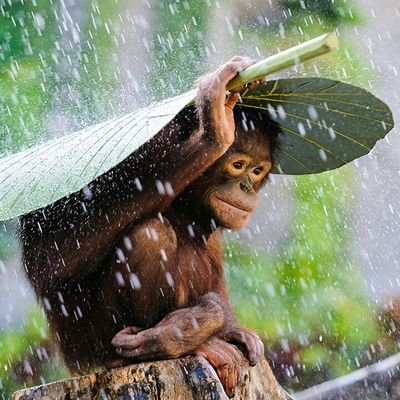 PONTHUS18's profile picture. 