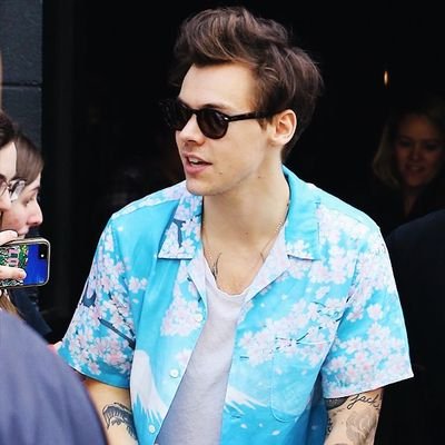 juntando firmas para que declaren efemérides cada día que salga una foto de harry styles sonriendo